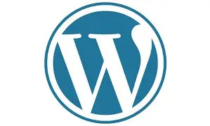 WordPress Developer